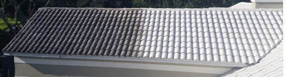Checmical Roof Cleaning Boca Raton